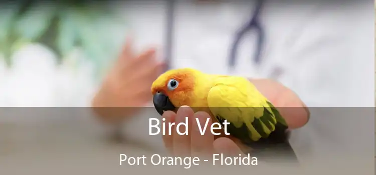 Bird Vet Port Orange - Florida