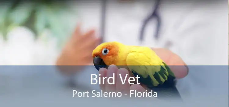 Bird Vet Port Salerno - Florida
