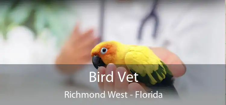 Bird Vet Richmond West - Florida