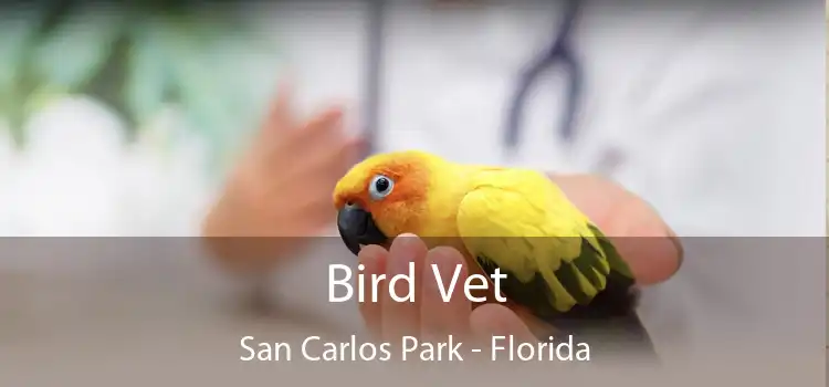 Bird Vet San Carlos Park - Florida