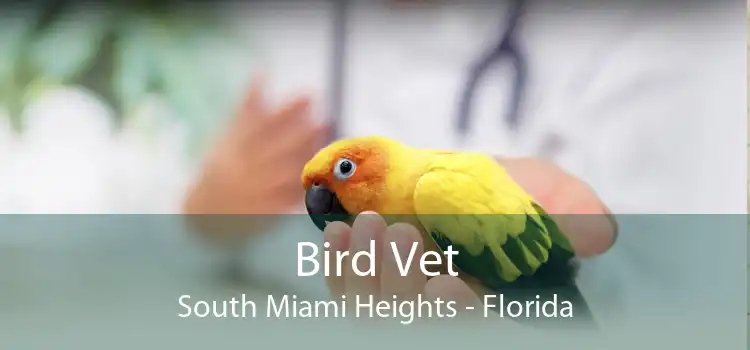 Bird Vet South Miami Heights - Florida