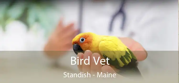 Bird Vet Standish - Maine