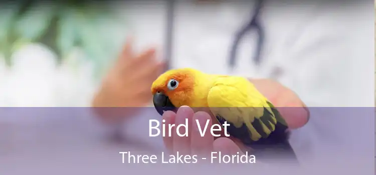 Bird Vet Three Lakes - Florida
