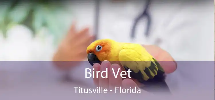Bird Vet Titusville - Florida