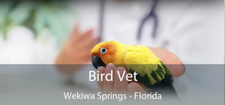 Bird Vet Wekiwa Springs - Florida