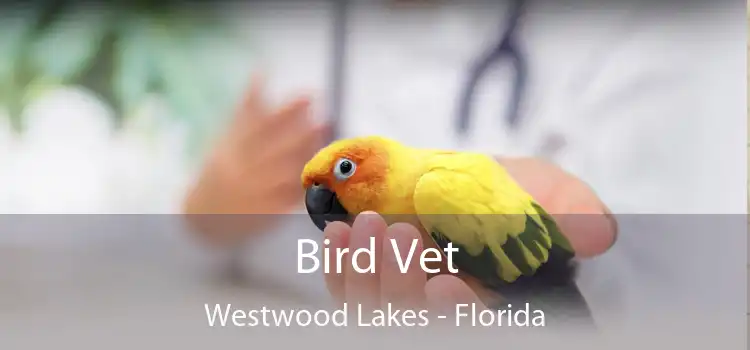 Bird Vet Westwood Lakes - Florida