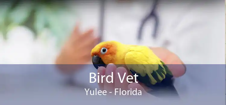 Bird Vet Yulee - Florida