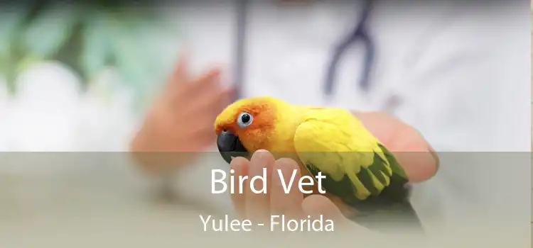 Bird Vet Yulee - Florida