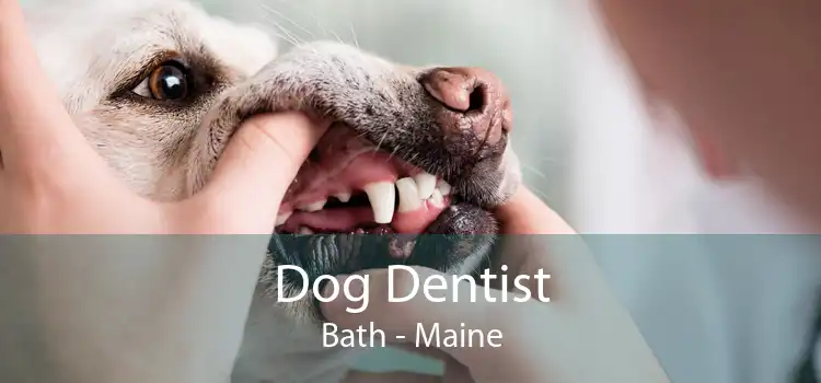 Dog Dentist Bath - Maine