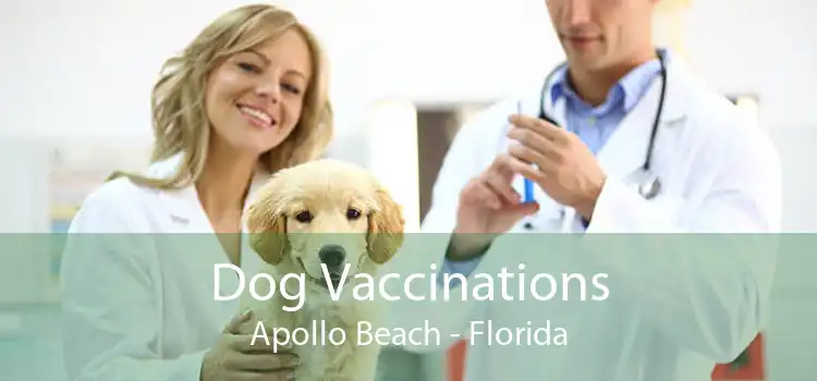 Dog Vaccinations Apollo Beach - Florida