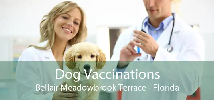Dog Vaccinations Bellair Meadowbrook Terrace - Florida