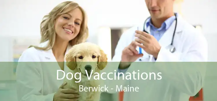 Dog Vaccinations Berwick - Maine
