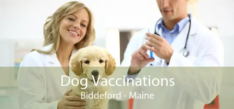 Dog Vaccinations Biddeford - Maine