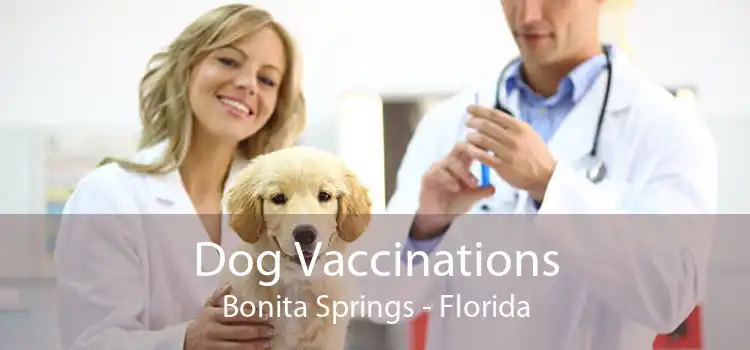 Dog Vaccinations Bonita Springs - Florida