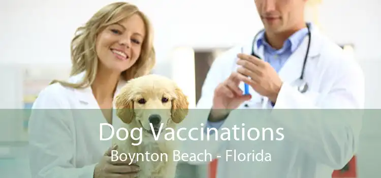 Dog Vaccinations Boynton Beach - Florida