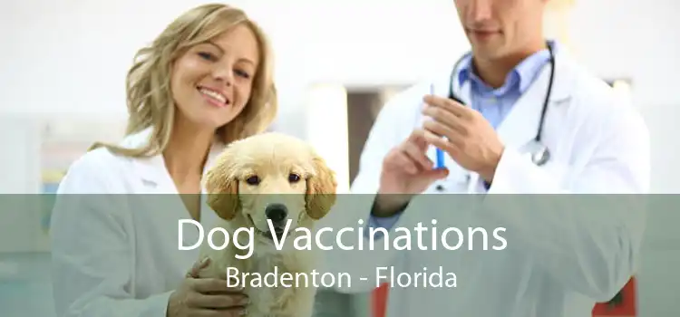 Dog Vaccinations Bradenton - Florida