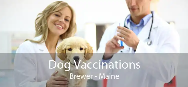 Dog Vaccinations Brewer - Maine