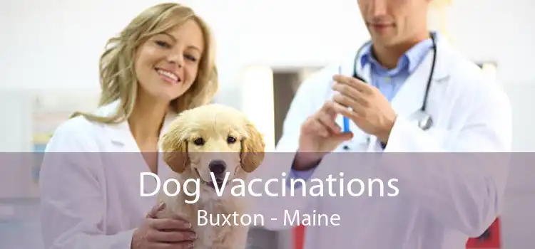 Dog Vaccinations Buxton - Maine