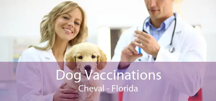 Dog Vaccinations Cheval - Florida