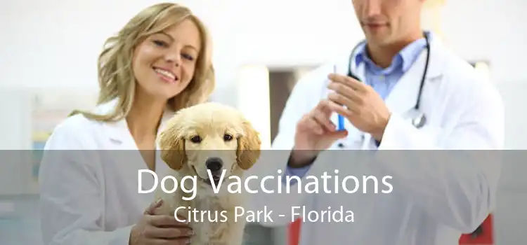 Dog Vaccinations Citrus Park - Florida