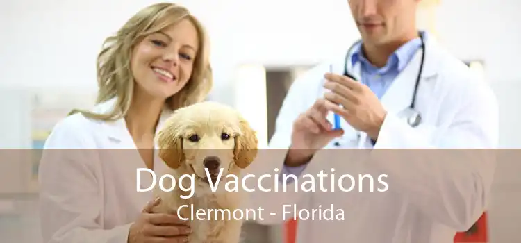 Dog Vaccinations Clermont - Florida