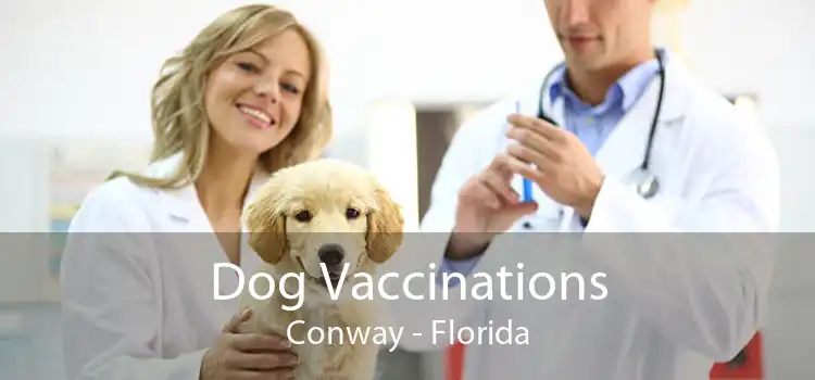 Dog Vaccinations Conway - Florida
