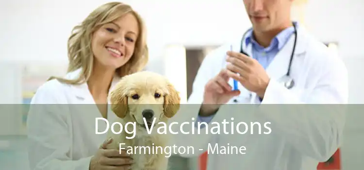 Dog Vaccinations Farmington - Maine