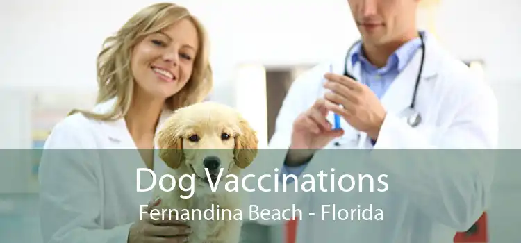 Dog Vaccinations Fernandina Beach - Florida