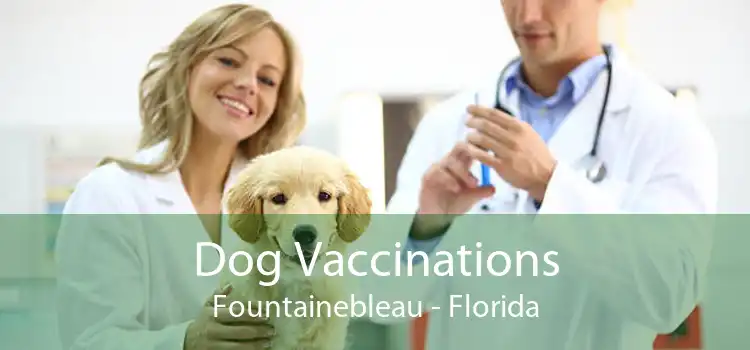 Dog Vaccinations Fountainebleau - Florida