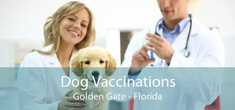 Dog Vaccinations Golden Gate - Florida