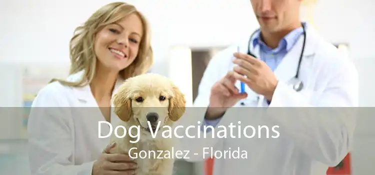 Dog Vaccinations Gonzalez - Florida