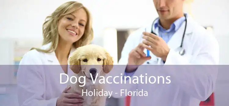 Dog Vaccinations Holiday - Florida