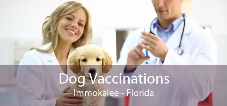 Dog Vaccinations Immokalee - Florida