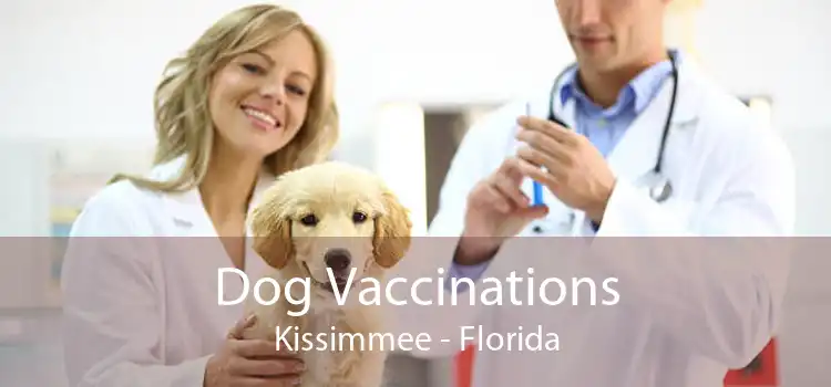 Dog Vaccinations Kissimmee - Florida