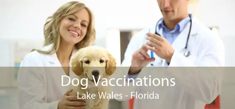 Dog Vaccinations Lake Wales - Florida
