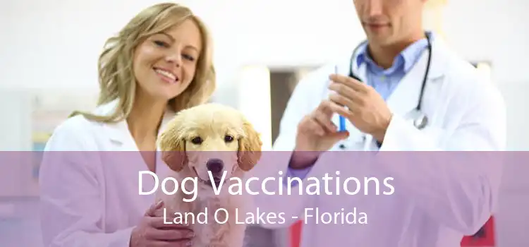 Dog Vaccinations Land O' Lakes - Florida