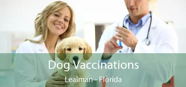Dog Vaccinations Lealman - Florida