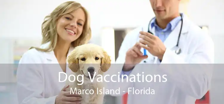 Dog Vaccinations Marco Island - Florida