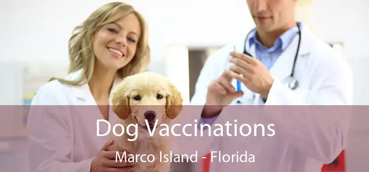 Dog Vaccinations Marco Island - Florida
