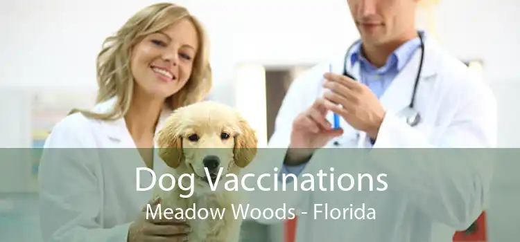 Dog Vaccinations Meadow Woods - Florida