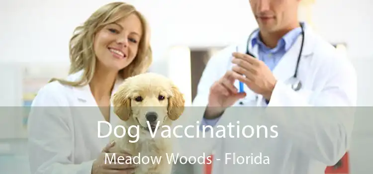 Dog Vaccinations Meadow Woods - Florida
