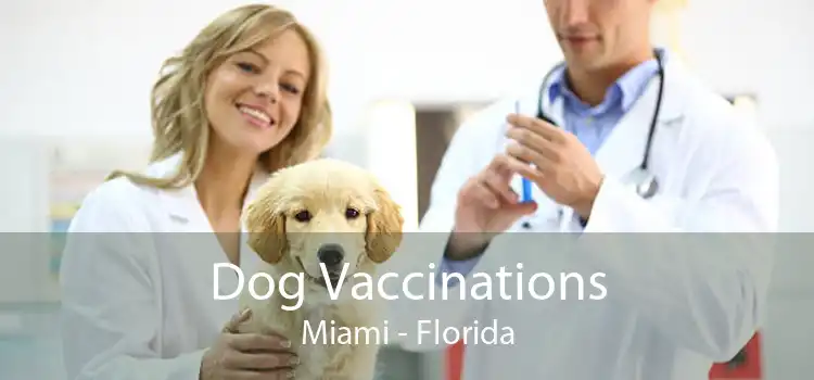 Dog Vaccinations Miami - Florida