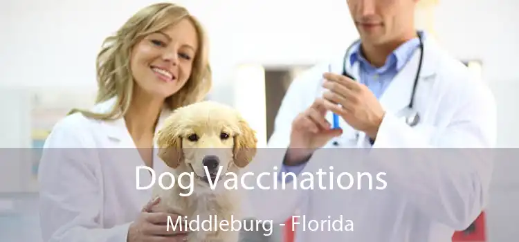 Dog Vaccinations Middleburg - Florida