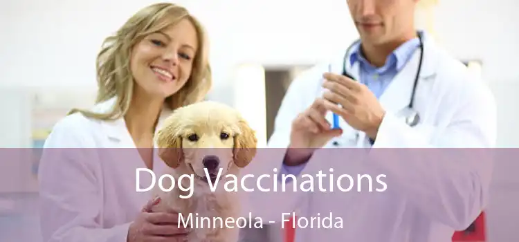 Dog Vaccinations Minneola - Florida