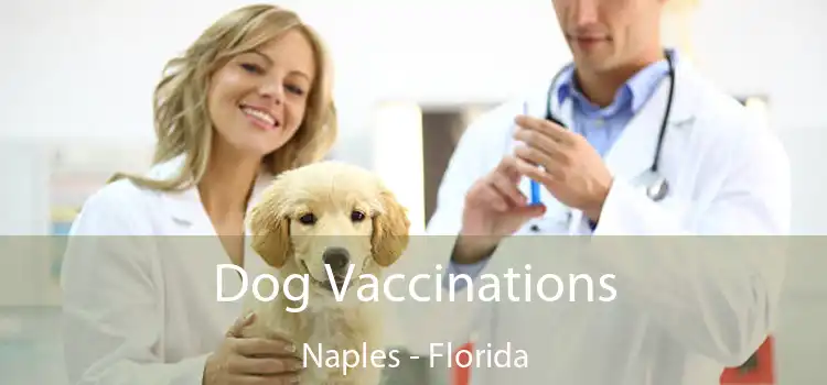 Dog Vaccinations Naples - Florida