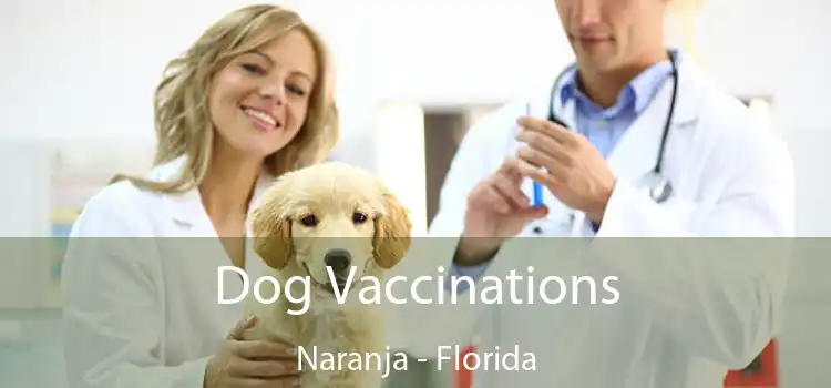 Dog Vaccinations Naranja - Florida