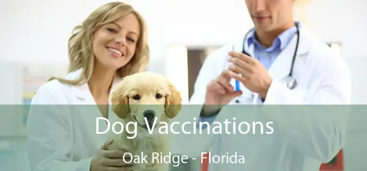 Dog Vaccinations Oak Ridge - Florida