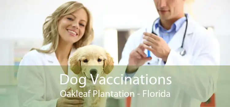 Dog Vaccinations Oakleaf Plantation - Florida