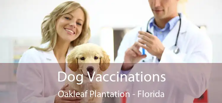Dog Vaccinations Oakleaf Plantation - Florida