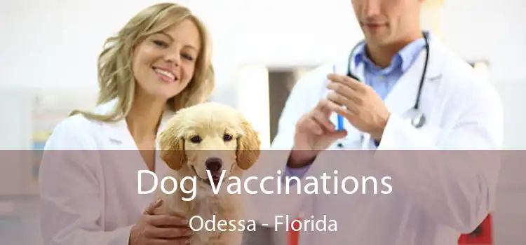Dog Vaccinations Odessa - Florida
